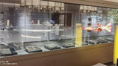 透明屏OLED拼接屏應用河北某企業(yè)建設科技館展廳項目展示